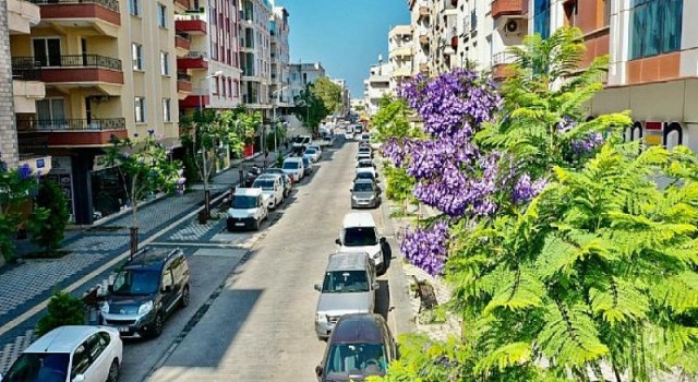 Başkan Atabay: Didimimiz Her Geçen Gün Güzelleşiyor... Didim Belediyesi