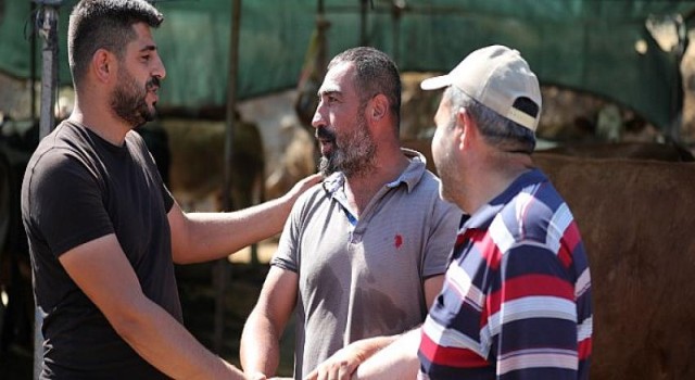Bayraklı Belediyesi Kurban Bayramına hazır!