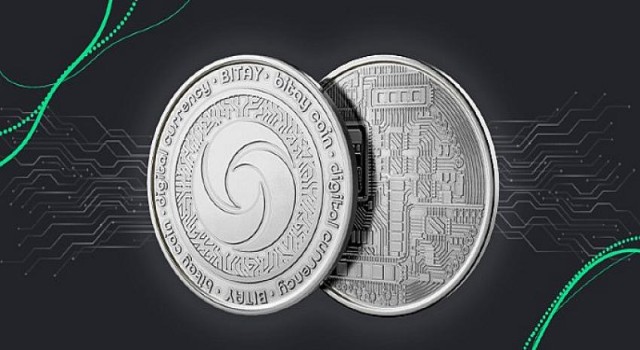 Düşen piyasada kazandıran yerli coin