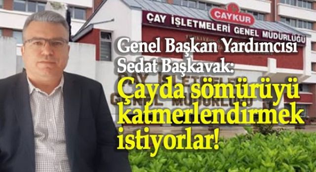 GENEL BAŞKAN YARDIMCISI BAŞKAVAK: ÇAYDA SÖMÜRÜYÜ KATMERLENDİRMEK İSTİYORLAR!