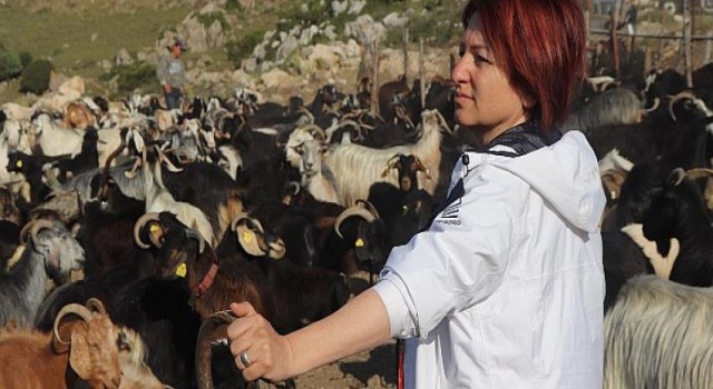 Kırkım Şenliği için tüm hazırlıklar tamam!