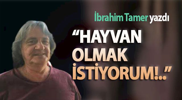 İbrahim Tamer. Hayvan Olmak İstiyorum!..