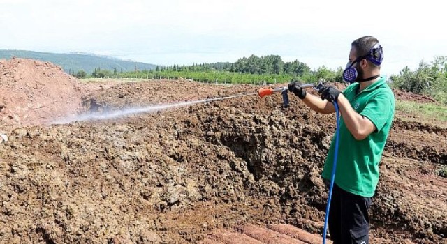 Kocaeli’de kurban pazar yerleri ilaçlanıyor