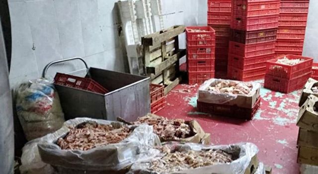 Mide bulandıran olay: Baskında ortaya çıkan manzara şaşkına çevirdi