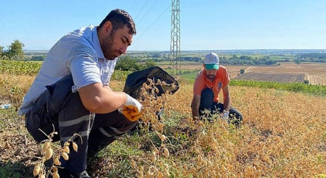 Sevgi Mutfağı’nın ihtiyaçları tarladan