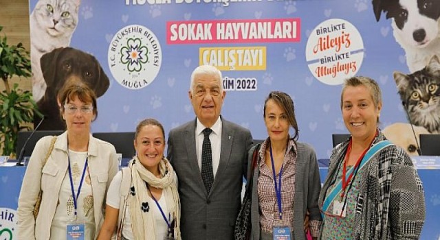 Muğla Sokak Hayvanları Çalıştayı’nın Sonuç Bildirgesi Yayınlandı