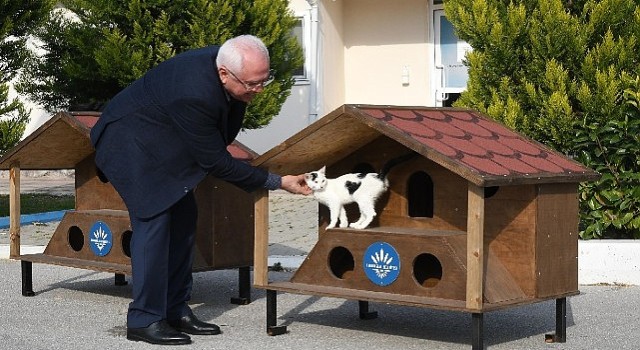 Karabağlar'n 2023 yılı kedi evleri hazır