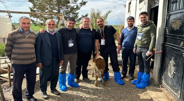 DEÜ'lü Uzmanlardan Deprem Bölgesinde Şap Virüsü Uyarıları