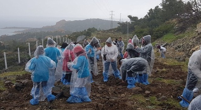 Foça'da Orman Haftası Kutlama ve Fidan Dikim Etkinliği