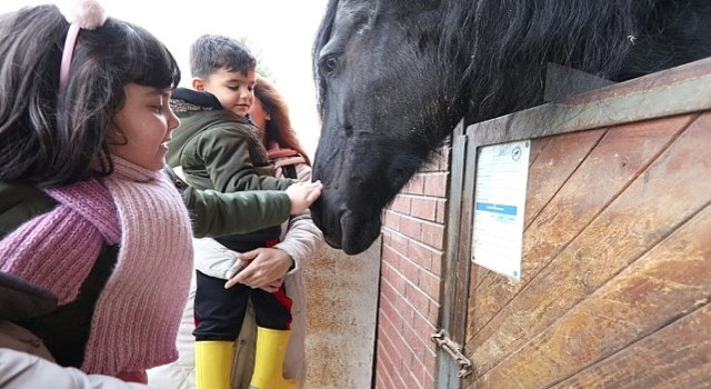 Kocaelili çocukların atlarla dostluğu