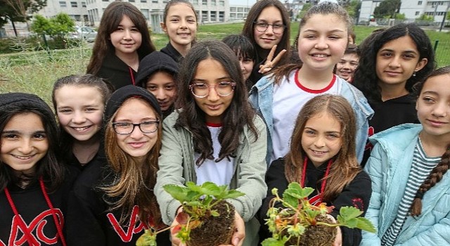 Öğrenciler Mini Bostan'da fide dikti