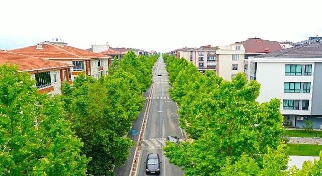 Lüleburgaz’da yeşil koridorlar artıyor!