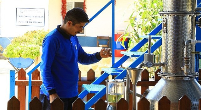 Muğla Büyükşehir Distilasyon Tesisi Muğla'nın Aromatik Bitkileri&'ni İşliyor