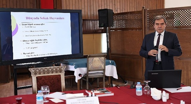 Ankara Buluşmaları'nda “Kent Hayatı ve Hayvan Hakları” konuşuldu
