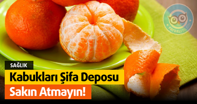 Mandalina Kabukları Şifa Deposu Sakın Atmayın!