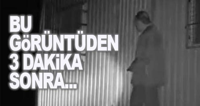 Tevafukun böylesi: Ayılardan 3 dakika ile kurtuldu