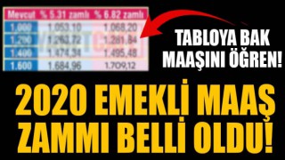 2020 emekli maaşları ne kadar olacak?
