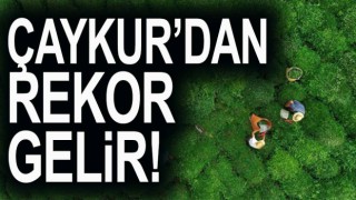Çay ihracatında rekor gelir