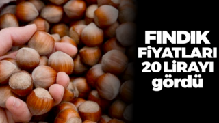 Fındık fiyatları 20 lirayı gördü