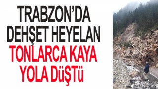 Trabzon'da Heyelan! Karayolunu kapattı