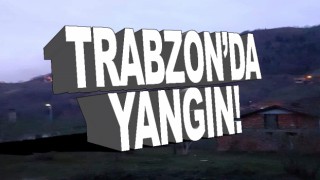 Trabzon'da orman yangını!