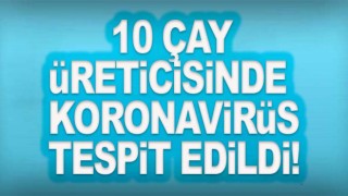 10 çay üreticisinde koronavirüs tespit edildi