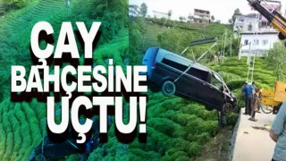 Araç Çay Bahçesine Uçtu !