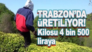 Trabzon'da üretiliyor ve şifa kaynağı