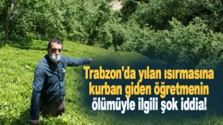 Trabzon'da yılanın ısırdığı öğretmen "panzehir yok diye öldü .