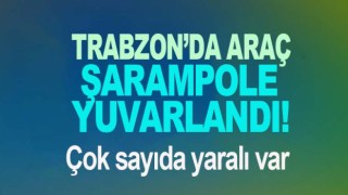 Araç şarampole yuvarlandı
