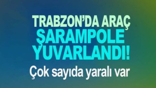 Araç şarampole yuvarlandı