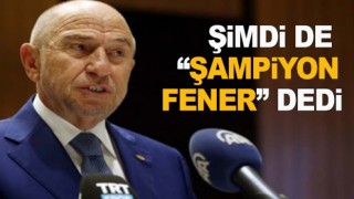 Şaşkın Nihat Özdemir