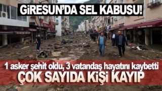 Büyük Sel Felaketi! Giresun savaş alanı gibi!