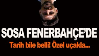 Jose Sosa Fenerbahçe'de!