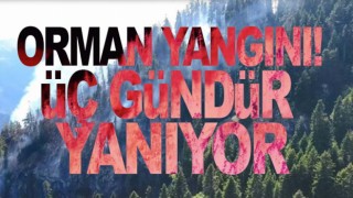 Orman Yangını! 3 gündür yanıyor