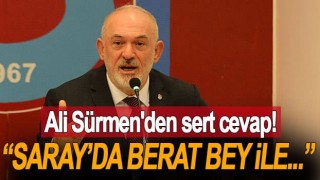 Ali Sürmen: Saray'da ne konuştular