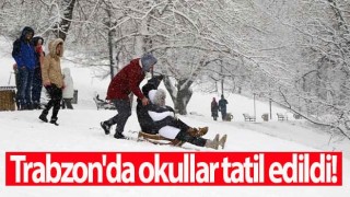 Trabzon'da okullar tatil edildi!