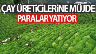 Yaş Çay paraları yatıyor