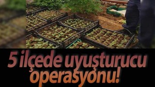 5 ilçede uyuşturucu operasyonu! 9 kişi gözaltında