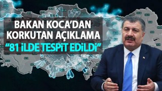 Bakan Koca'dan artan vakalar ile alakalı korkutan açıklama