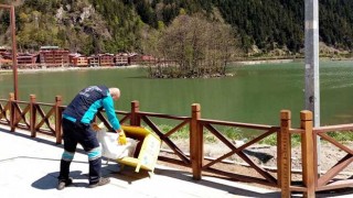 Büyükşehir'den sahipsiz canlara özel ilgi