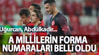 A Millilerin Forma Numaraları Belli Oldu