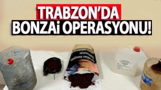 Trabzon'da Bonzai Operasyonu