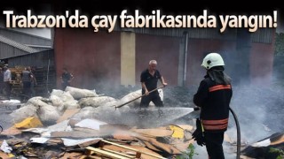 Trabzon'da Çay Fabrikasında Yangın Korkuttu