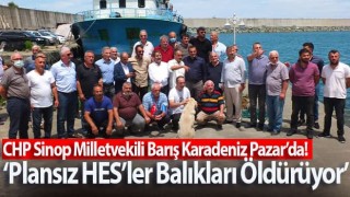 Plansız HES’ler Balıkları Öldürüyor!