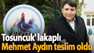 'Tosuncuk' lakaplı Mehmet Aydın teslim oldu