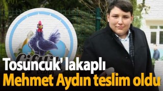 'Tosuncuk' lakaplı Mehmet Aydın teslim oldu
