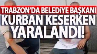 Trabzon'da belediye başkanı kurban keserken yaralandı