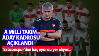 A Milli Takım Aday Kadrosu Açıklandı