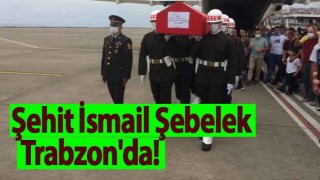 Trabzon şehit Uzman Çavuş İsmail Şebelek'i karşıladı!